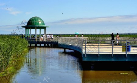 湿地观赏亭桥图片