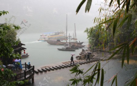 雨中行图片