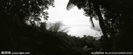树木与山峰湖泊风景图片