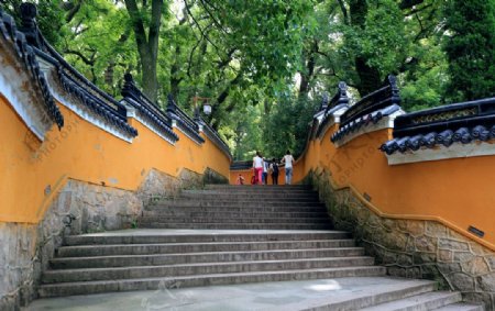 普陀山法雨寺图片
