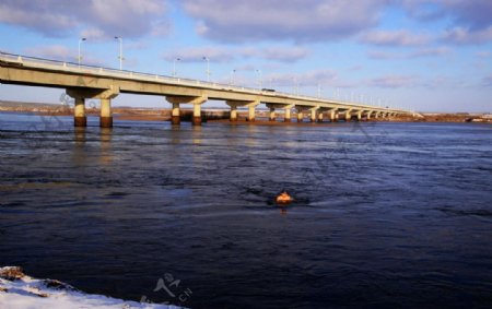 嫩江桥下冬泳图片