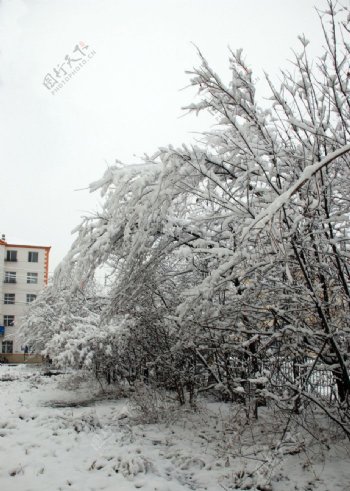 住宅楼前雪景图片