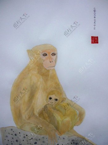 水粉画国画猴子图片