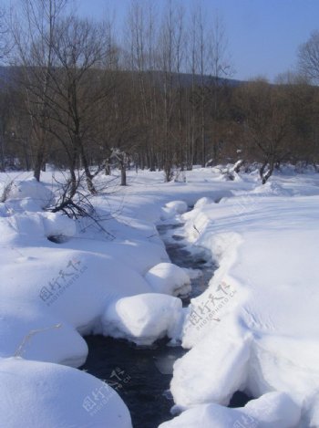 冬雪河流小溪摄影图片