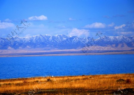 雪山青海湖图片