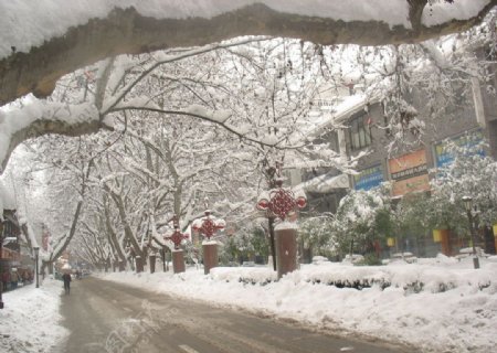 雪中的南京瞻园路图片