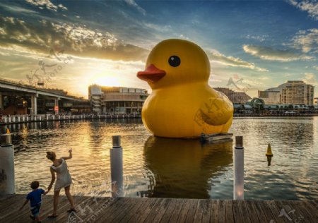 巨型橡胶鸭子澳大利亚图片