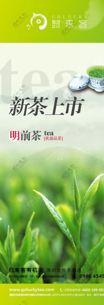 绿茶高档设计图片