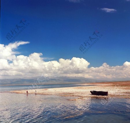 青海湖之夏图片