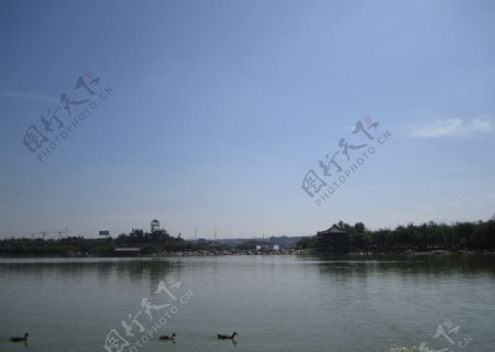 曲江池风景图片