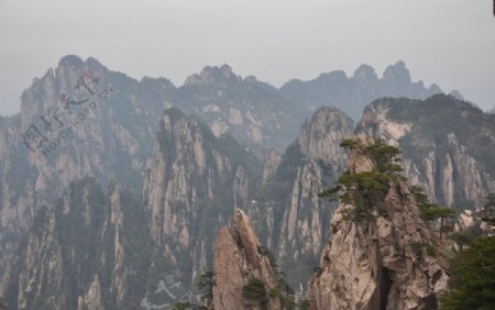 黄山风景旅游区图片