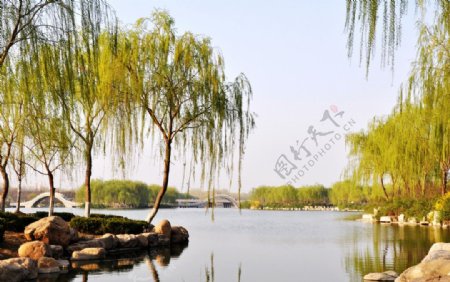 湿地公园图片