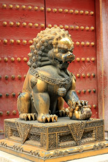 北京故宫铜狮图片