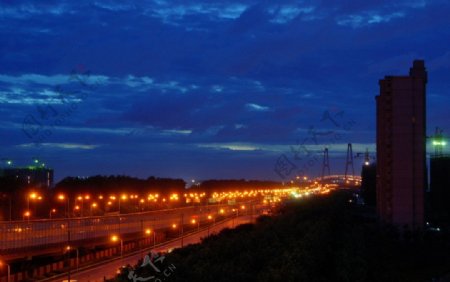 夜幕下的徐浦大桥图片