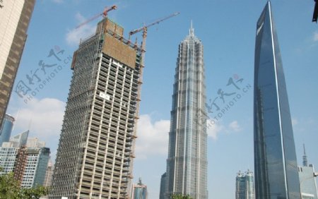 上海高楼经贸大厦图片