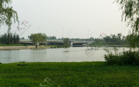 莲花湖图片