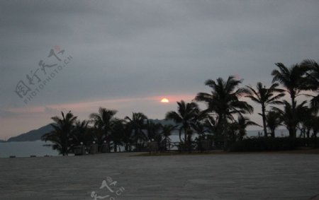 海南岛椰林图片