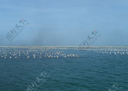 宁波海景图片