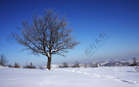 冬日冰雪风光图片