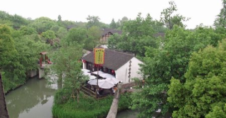 杭州西溪湿地图片