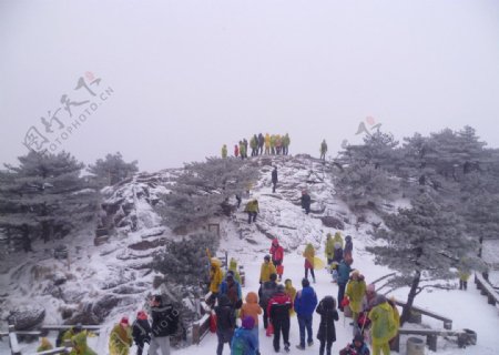 雪景黄山图片