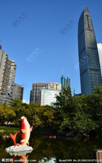 荔枝公园拍京基100大厦图片