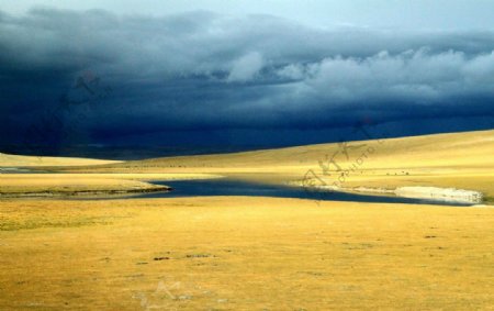 西藏秋季牧场图片