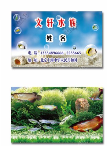 水族馆名片图片