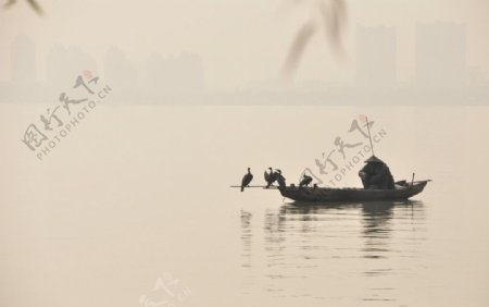 金鸡湖上的渔者图片
