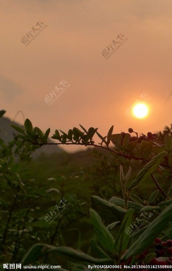 黄昏景观图片