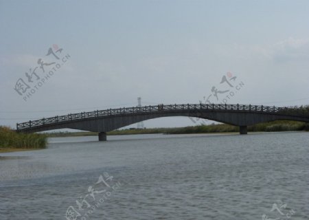 杭州湾湿地图片