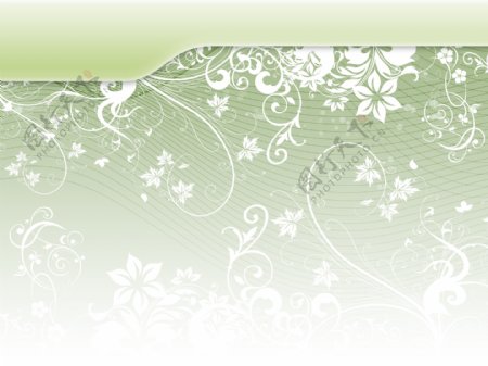 绿色淡雅花纹背景图片