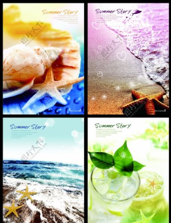 本本封面夏天的海星图片