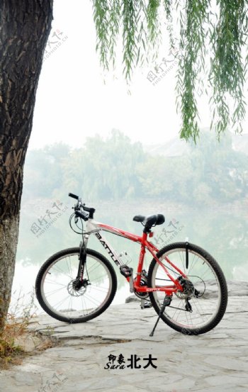北京大学的自行车图片