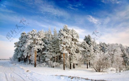 公路冬季雪景图片