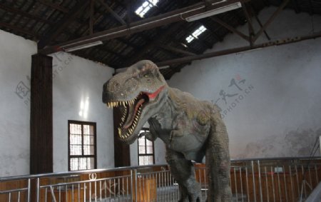 恐龙博物馆图片