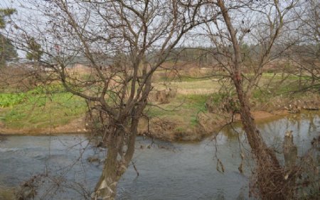 乡村风光小河流水图片