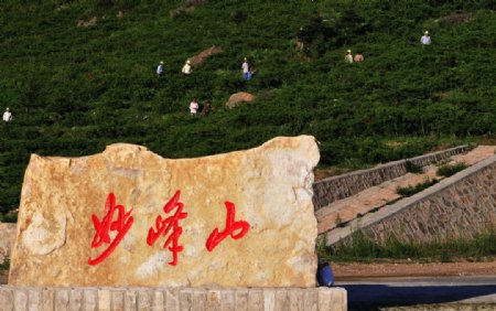 北京妙峰山玫瑰园图片