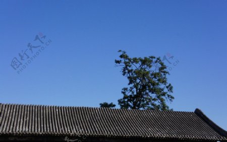 蓝天屋顶图片