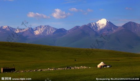 新疆草原风光图片