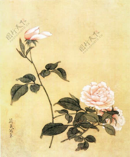 高清国画牡丹图图片
