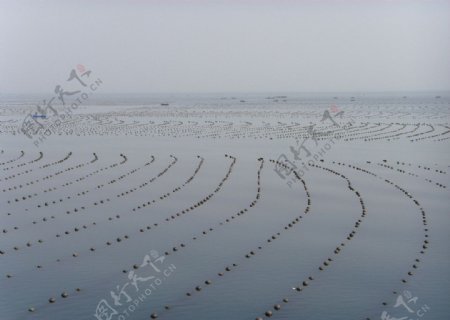 海景养殖区图片
