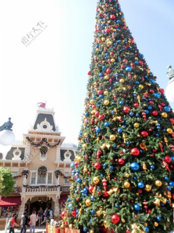 香港迪士尼圣诞树图片