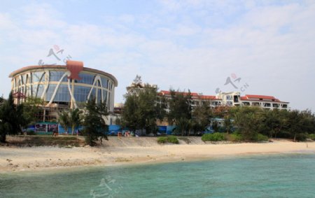 珊瑚酒店图片