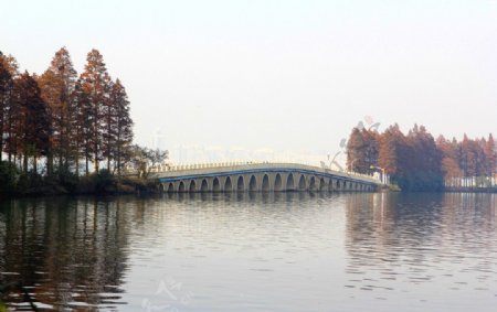 东湖风景图片