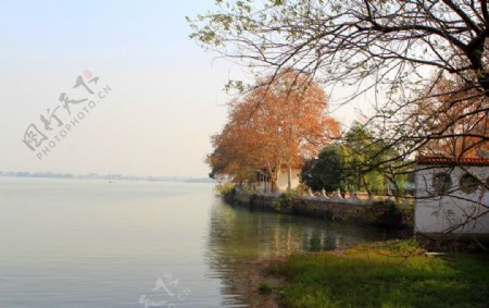 东湖风景图片