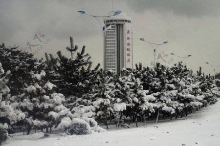 烟台雪景图片