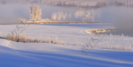 冬雪雾淞图片