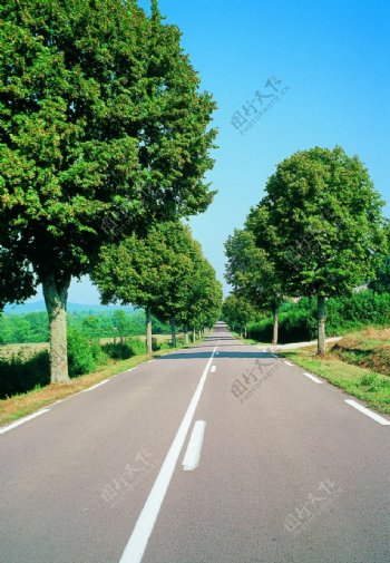 乡村公路图片