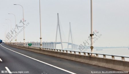 苏通大桥全景图片